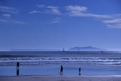 DSC_0847 (Large).JPG